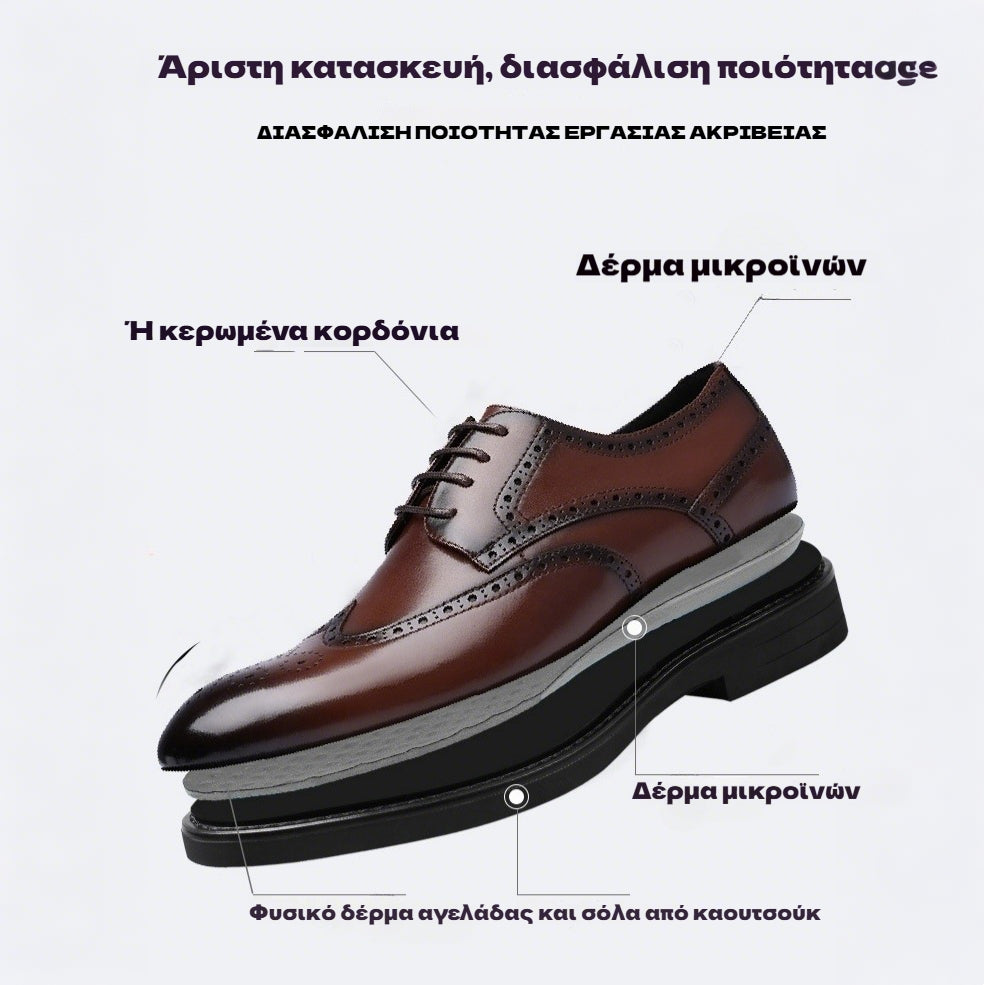 【🎁Σήμερα 50% έκπτωση】Δερμάτινα παπούτσια υψηλής ποιότητας - Ανακουφίζουν από τον πόνο στις αρθρώσεις 👞 Άνετο περπάτημα